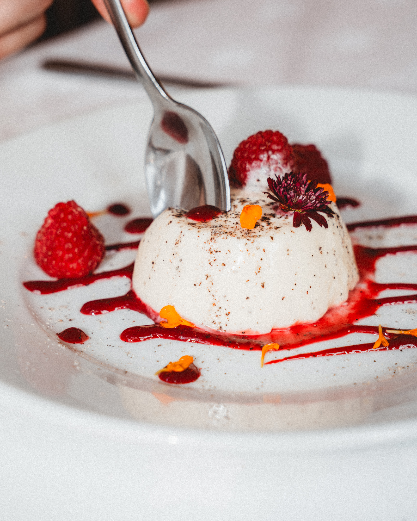 Buttermilk pannacotta, raspberry coulis, toasted korarima
